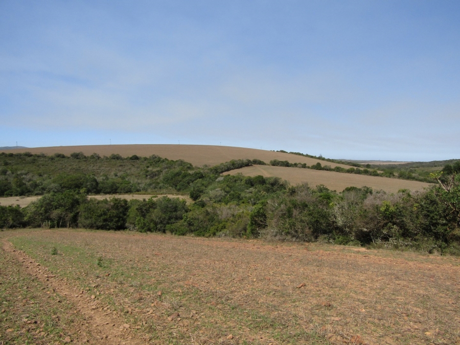 Commercial Property for Sale in Humansdorp Rural Eastern Cape